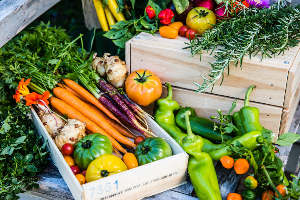 A vibrant and colorful display of fresh, locally grown produce arranged in and around light-colored wooden crates. The harvest includes bright orange carrots, purple carrots, heirloom tomatoes in shades of green, yellow, and red, long green peppers, fresh rosemary sprigs, and sunchokes.