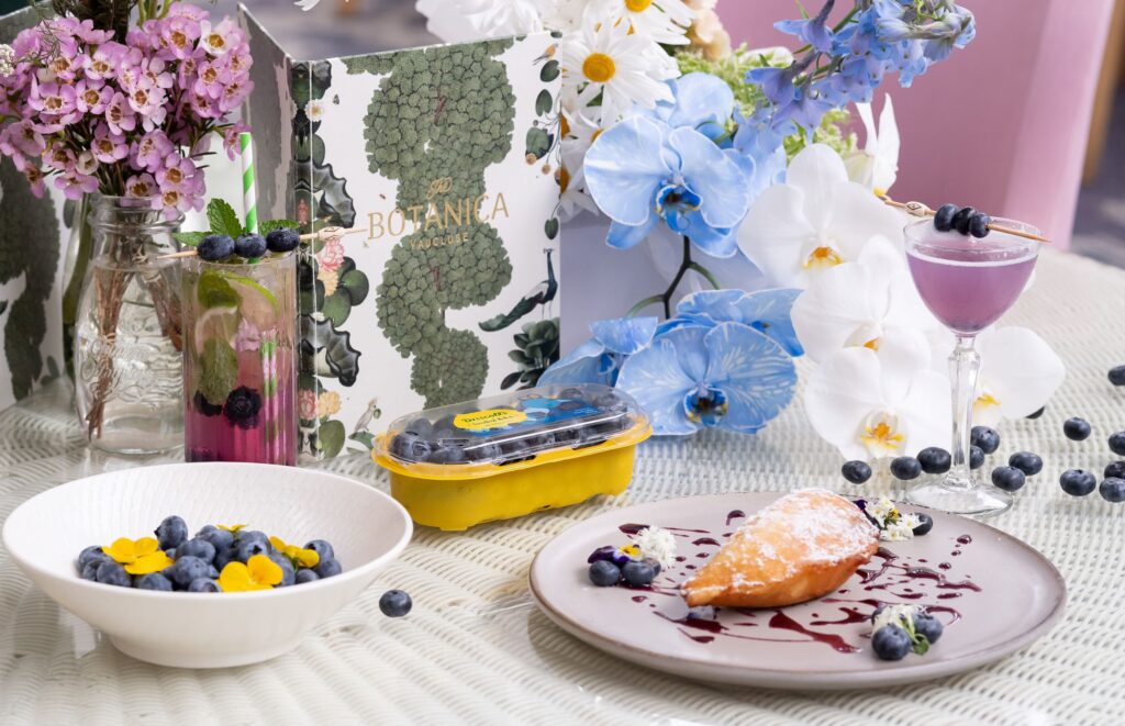 Sydney Blueberry Brunch